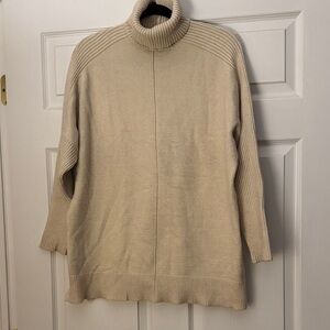 Time &True Turtleneck sweater